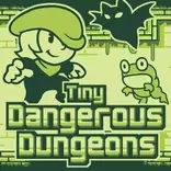 Tiny Dangerous Dungeons